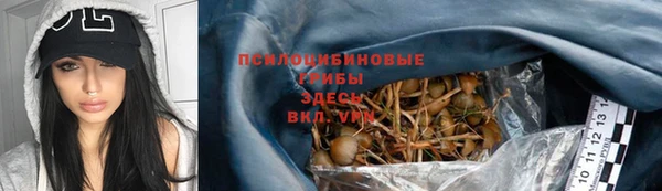 прущие крисы Зеленокумск