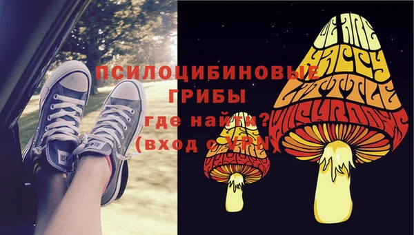 гашик Зеленодольск